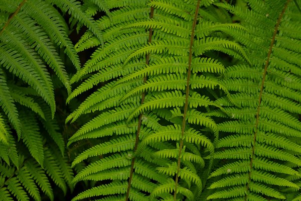 Robes de mariées : célébrez votre personnalité avec style